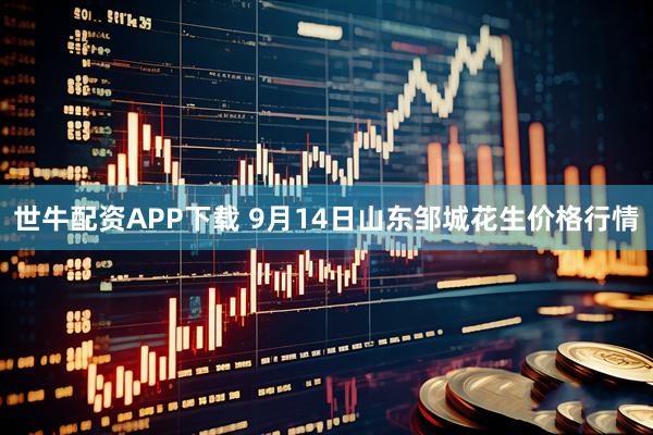 世牛配资APP下载 9月14日山东邹城花生价格行情