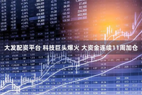 大发配资平台 科技巨头爆火 大资金连续11周加仓
